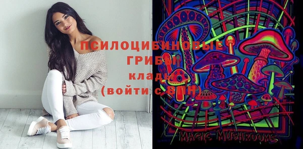 тгк Медногорск