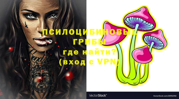 мдпв Мегион