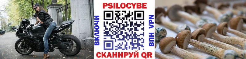 Псилоцибиновые грибы MAGIC MUSHROOMS  Саки 