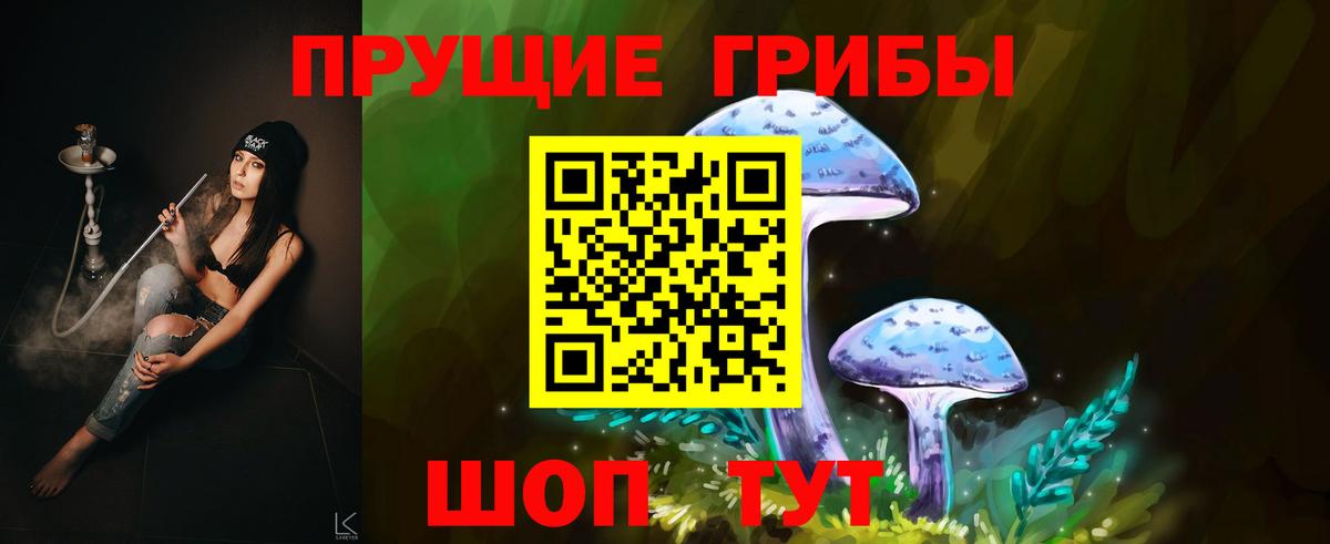 Псилоцибиновые грибы прущие грибы Саки