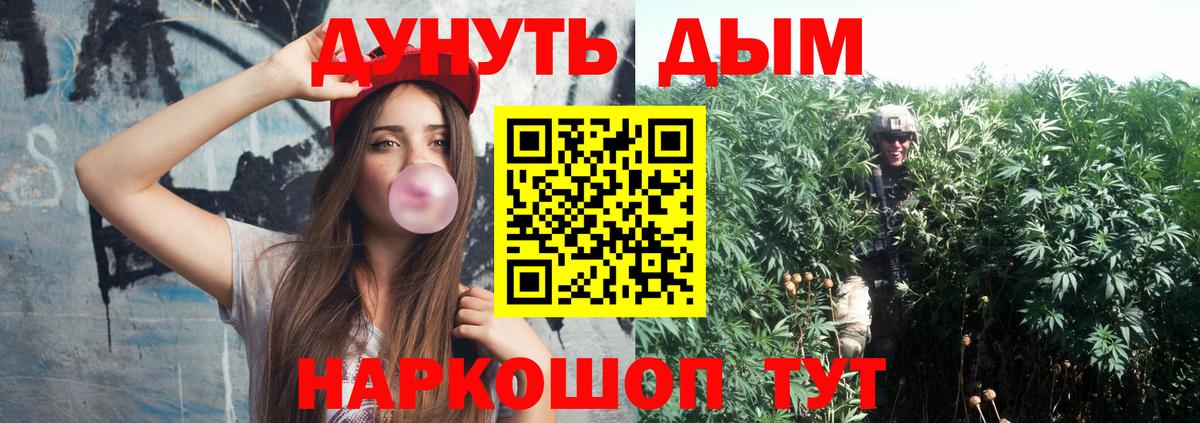 Бошки Шишки планчик  Бошки Шишки AK-47  Саки 